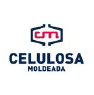 Celulosa